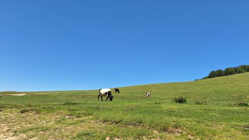 عکس سد سوها