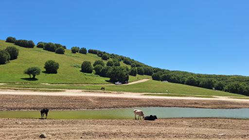 عکس سد سوها