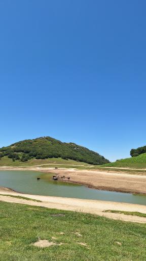 عکس سد سوها