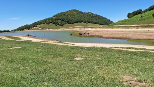 عکس سد سوها