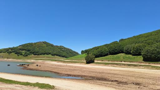 عکس سد سوها