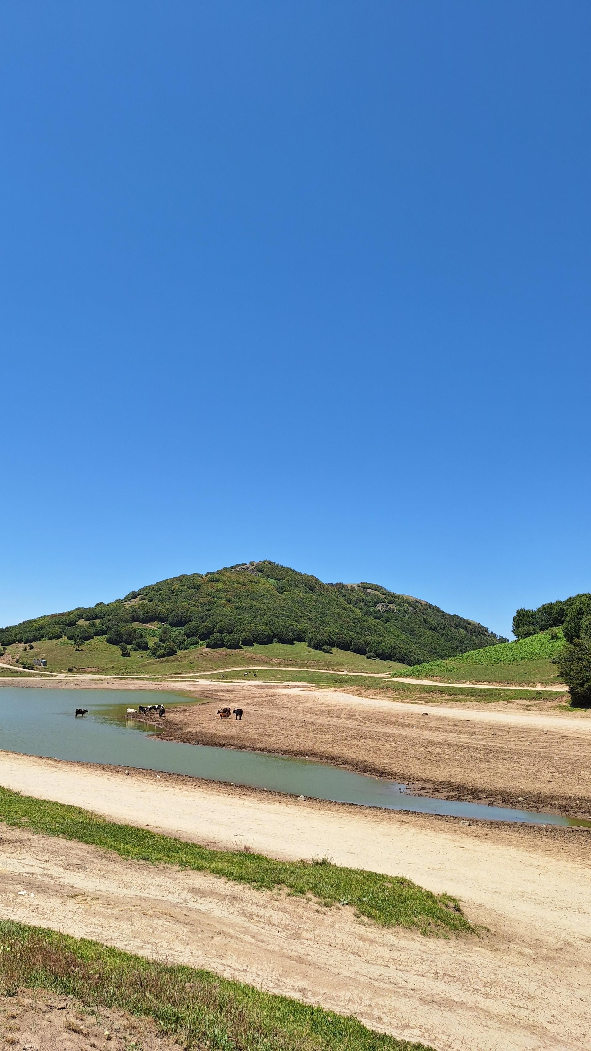 عکس سد سوها