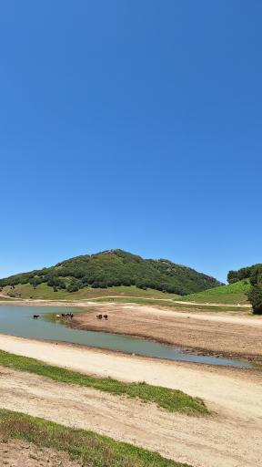 عکس سد سوها