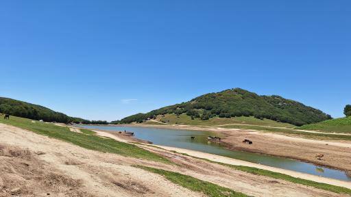 عکس سد سوها