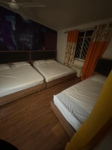 عکس مجتمع تفریحی سیاحتی ویسه