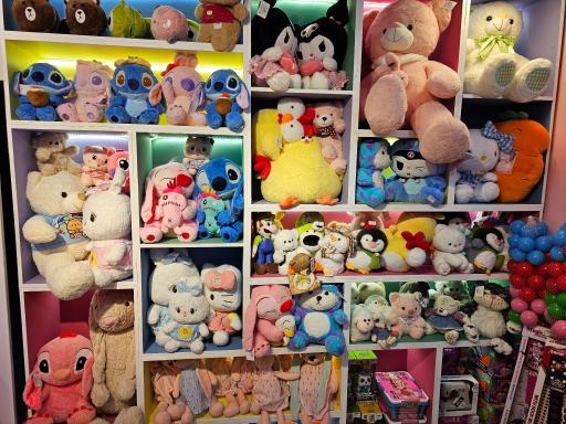 عکس فروشگاه اسباب بازی نیکی توی ۲