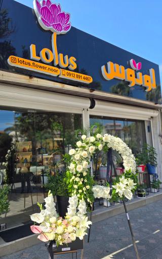 گل فروشی لوتوس