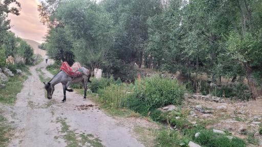 عکس پل لیقوان