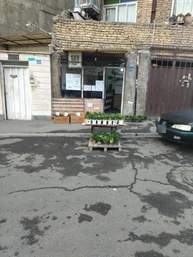 کافی نت محمد