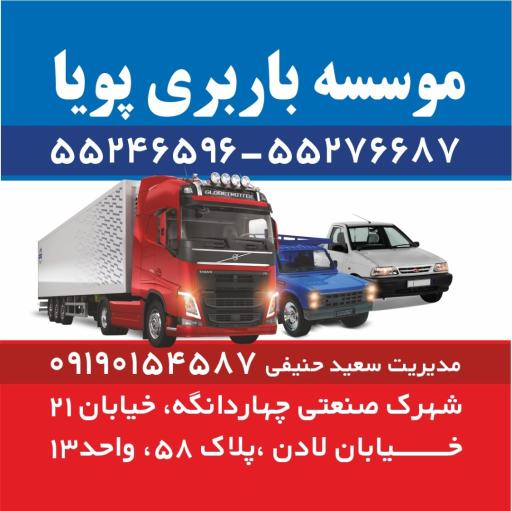 عکس بابری پویا