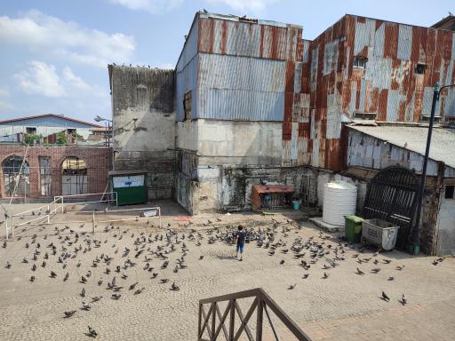 عکس حرم حضرت  فاطمه اُخری (س)