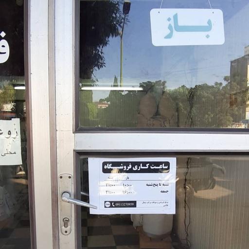 عکس برکت شمال