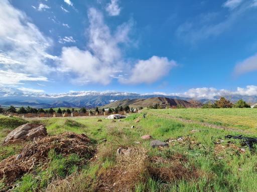 عکس معلم کلایه