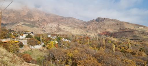 عکس معلم کلایه