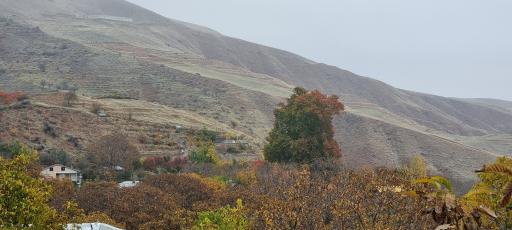 عکس معلم کلایه