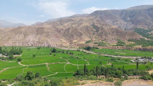 عکس معلم کلایه