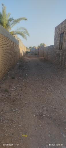 عکس معلم کلایه