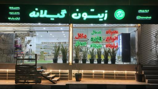 عکس زیتون گیلانه 