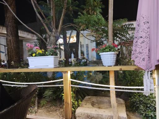 عکس کافه مس و قالی