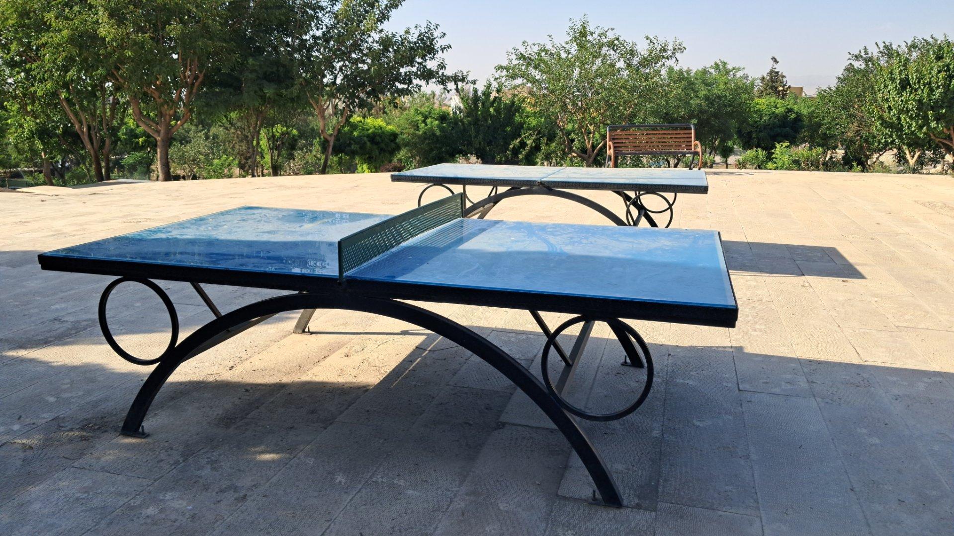 عکس میز پینگ پنگ پرند