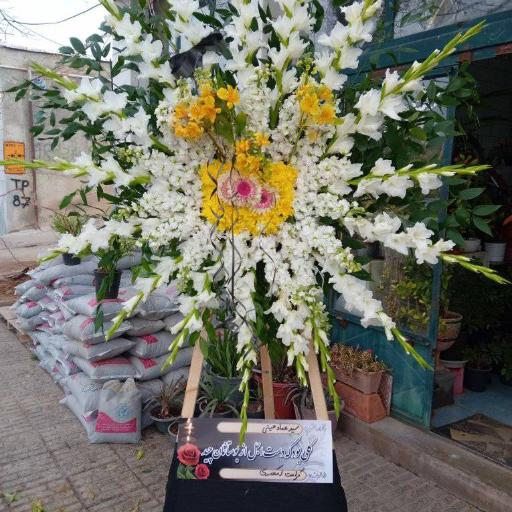 عکس گل‌فروشی شقایق قنبری 