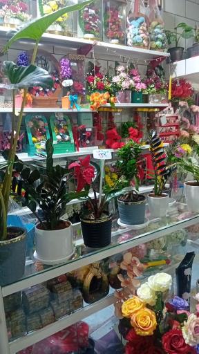 عکس گل‌فروشی شقایق قنبری 