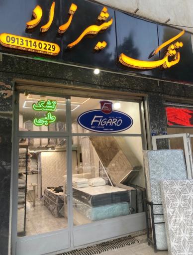 عکس شیرزاد تشک