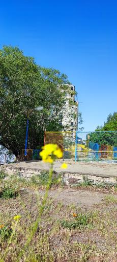 عکس اردوگاه شهید باهنر و کلکچال