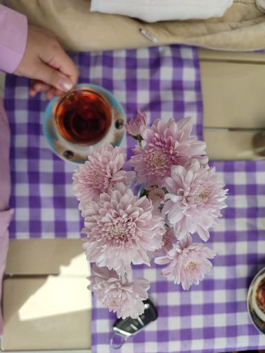 عکس صبحانه ممتاز