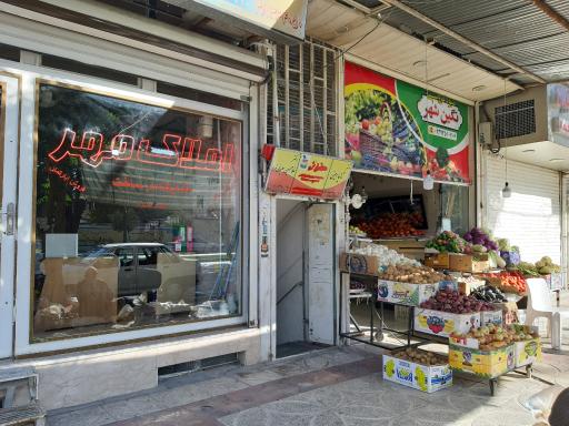 عکس دکتر تانیا امینی