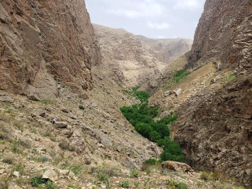 عکس اخلمد