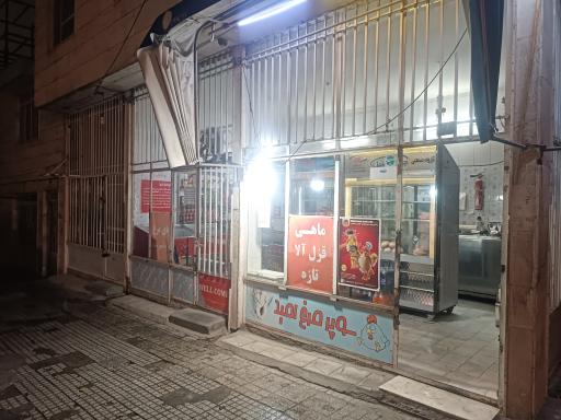 عکس مرغ و ماهی امید