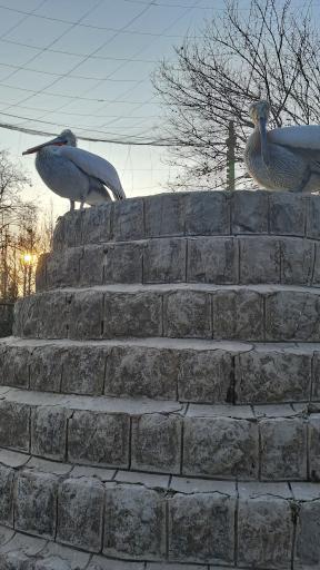 عکس بوستان ناژوان اصفهان