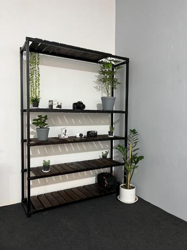 عکس استودیو موشن