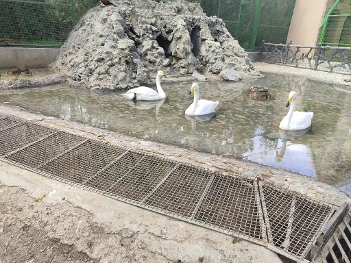 عکس بوستان ناژوان اصفهان