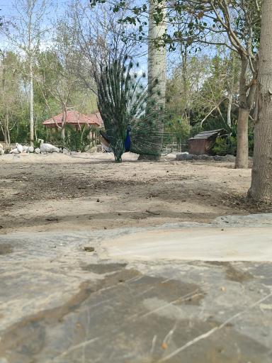 عکس بوستان ناژوان اصفهان