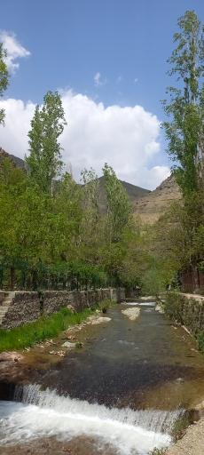 عکس کلوگان