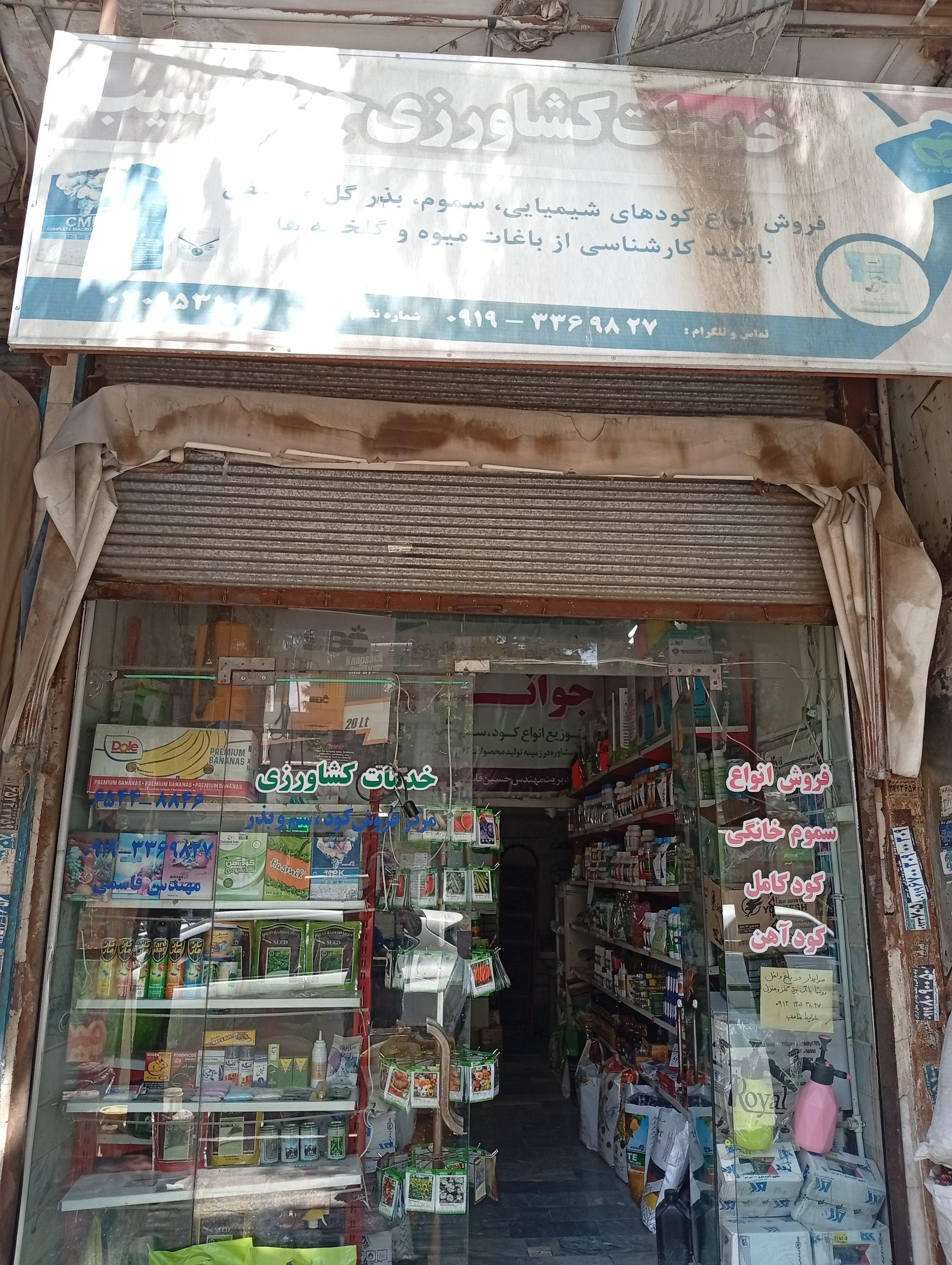 عکس خدمات کشاورزی جوانه سیب