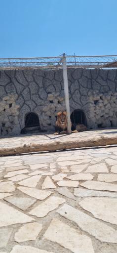 عکس باغ وحش شیراز