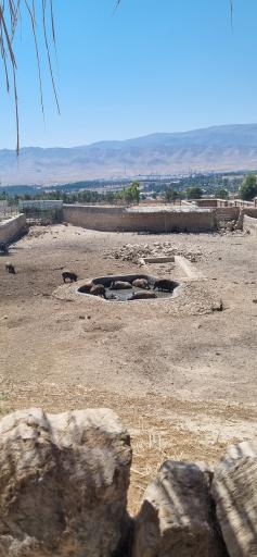 عکس باغ وحش شیراز