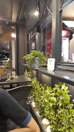 عکس کافه فیل