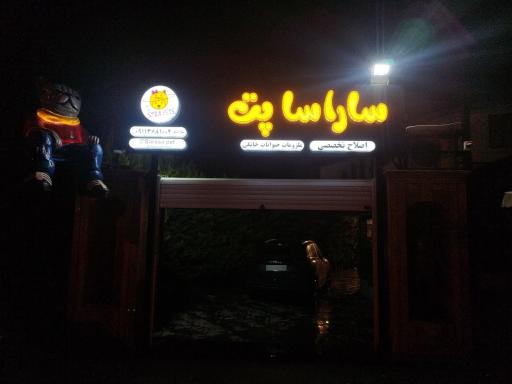 عکس ساراسا پت
