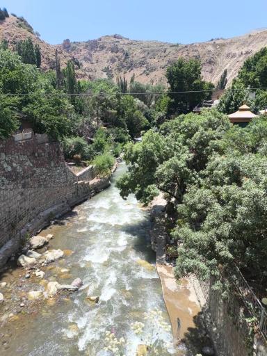 عکس کلوگان