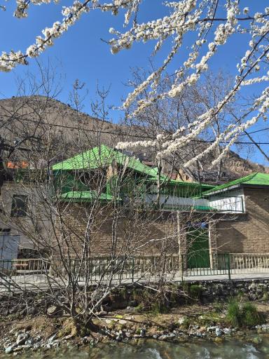 عکس کلوگان