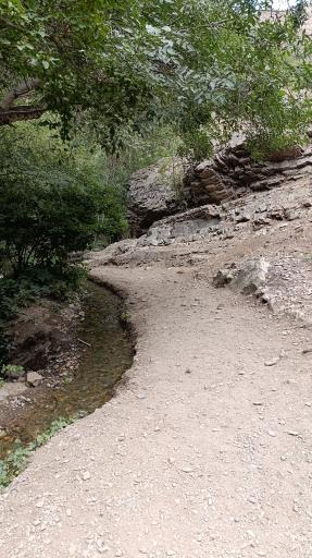 عکس کلوگان