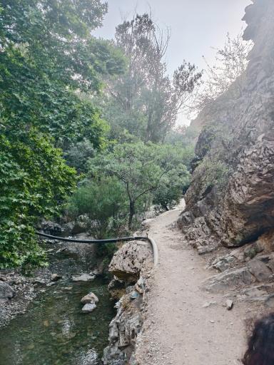 عکس کلوگان