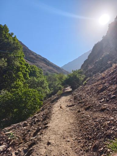 عکس کلوگان