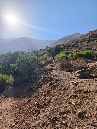 عکس کلوگان