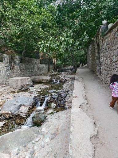 عکس کلوگان