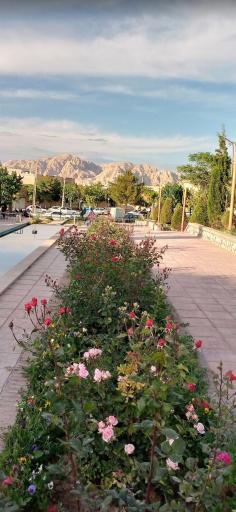 عکس بوستان پدر